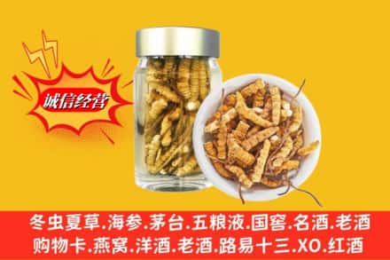 芜湖市无为回收散虫草