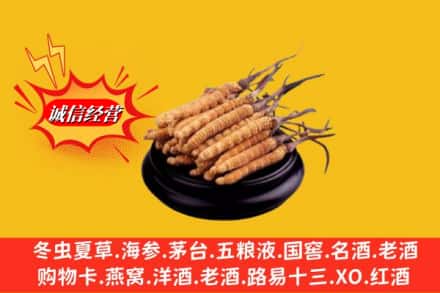 芜湖市无为回收虫草多少钱每克